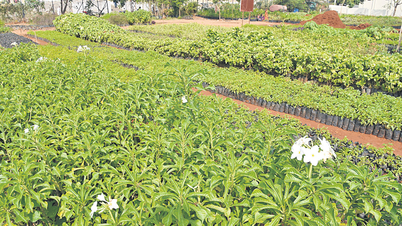 టార్గెట్‌ 40.48 లక్షలు