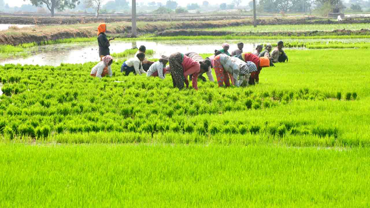 Rythu Bandhu | రైతు బంధు పదివేలే… నేటి నుంచి రైతుల ఖాతాల్లోకి డబ్బులు