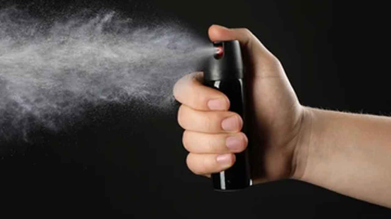 Pepper spray | తనిఖీలు చేస్తుండగా.. పోలీసులపై పెప్పర్‌ స్ప్రే కొట్టి పారిపోయిన దొంగలు