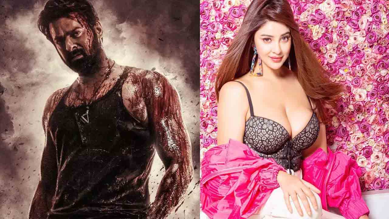 Payal Ghosh | ‘స‌లార్’ సినిమా నాకు న‌చ్చ‌లేదు.. ఊసరవెల్లి నటి సంచలన వ్యాఖ్యలు