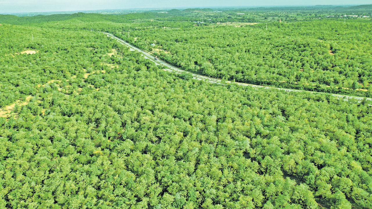 100 ఎకరాల్లో అర్బన్‌ పార్కులు