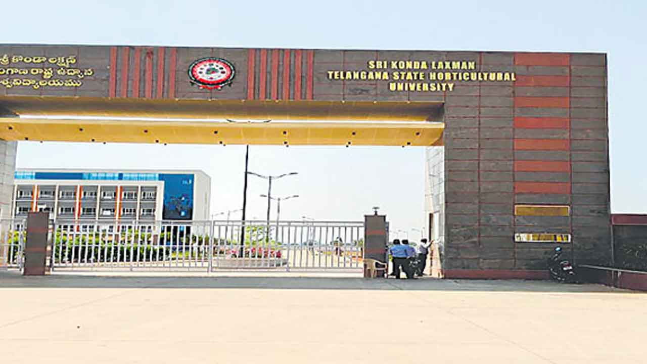 సారవంతమైన నేలతోనే మానవాళి భవిష్యత్తు