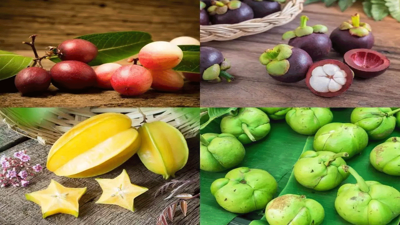 Health Tips | ఈ వింటర్ ఫ్రూట్స్తో అద్భుత ఆరోగ్య ప్రయోజనాలు