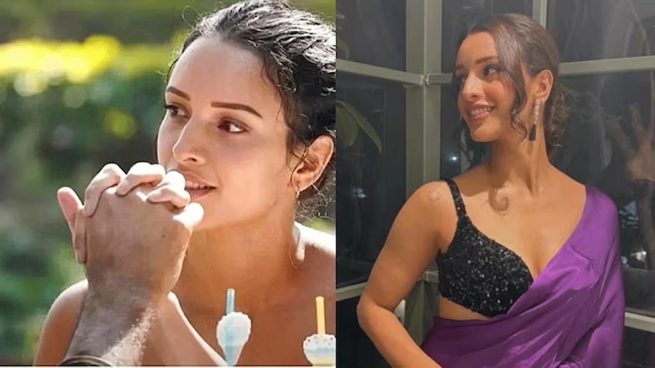 Triptii Dimri | ప‌ర్పుల్ శారీలో తృప్తి డిమ్రీ ప‌రువాల విందు