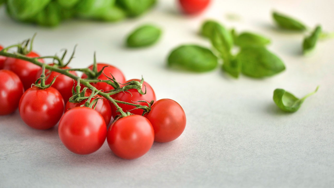 Tomatoes | టమాటాలను ఫ్రిజ్‌లో నిల్వ చేస్తున్నారా? అది చాలా డేంజర్‌ అని హెచ్చరిస్తున్న శాస్త్రవేత్తలు