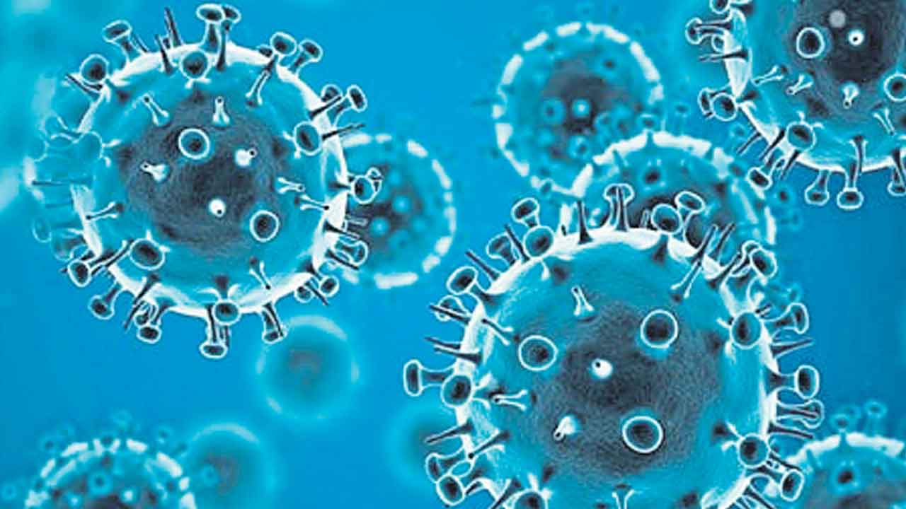 coronavirus | ప్రతి కొత్తవేవ్‌ డిసెంబర్‌లోనే!