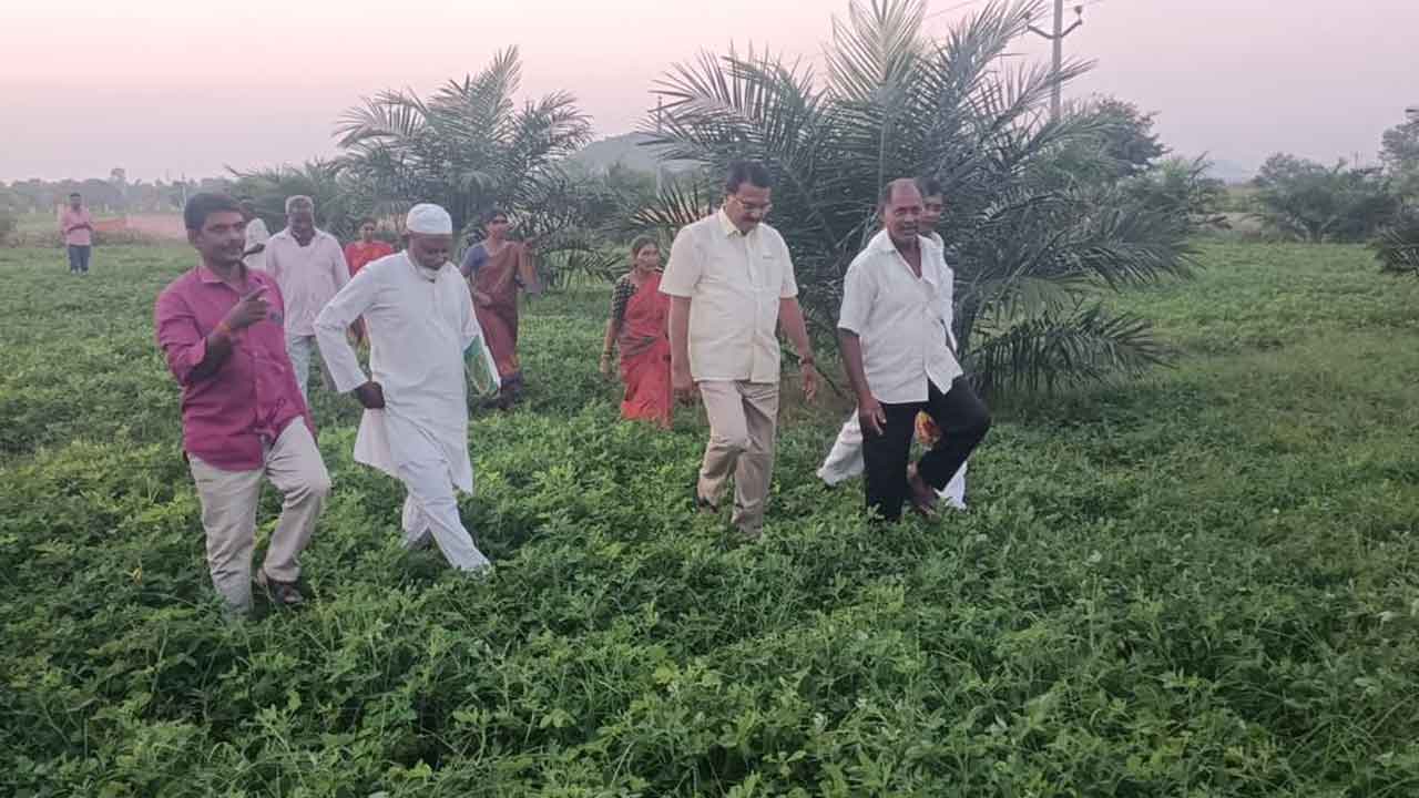 Niranjan Reddy | తెలంగాణలో పంటల మార్పిడిని ప్రోత్సహించాం : మాజీ మంత్రి నిరంజన్‌ రెడ్డి