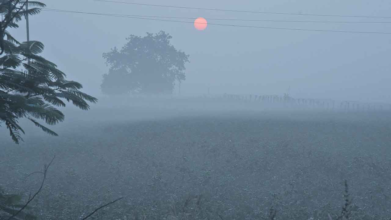 Weather Update | రాష్ట్రంలో పెరుగుతున్న చలి తీవ్రత.. వారు జాగ్రత్తగా ఉండాలంటున్న వైద్యనిపుణులు