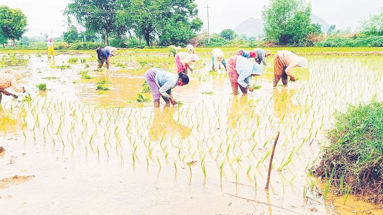 చివరి ఆయకట్టుకు నీరందేనా..?