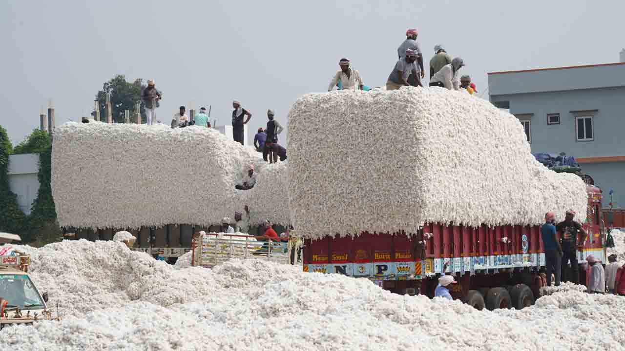 జోరుగా పత్తి విక్రయాలు