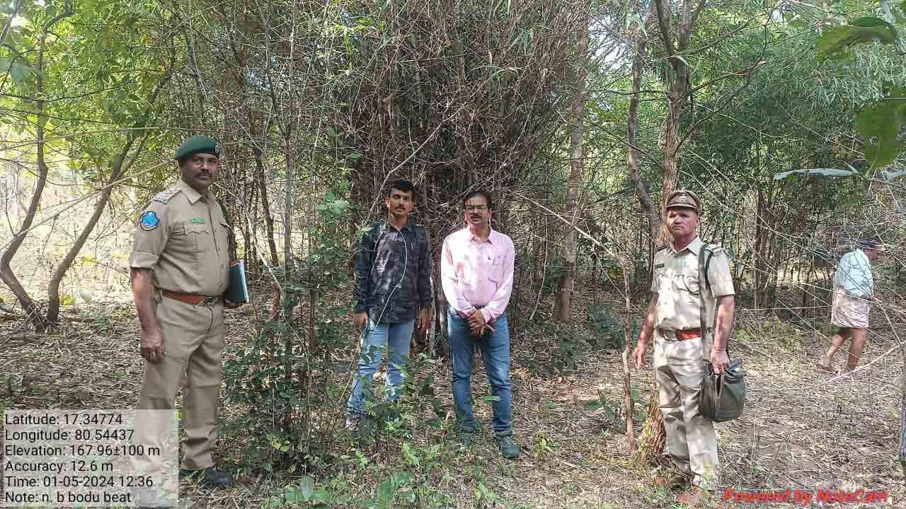 అడవుల సంరక్షణకు చర్యలు