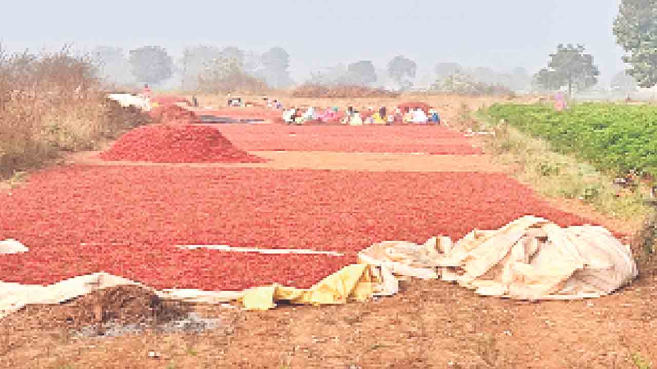 అధిక ధరలు.. మంచి దిగుబడులు