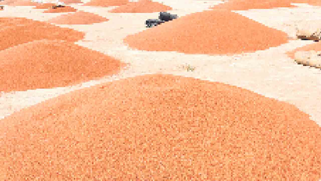 కందులు క్వింటా @ రూ.8,661