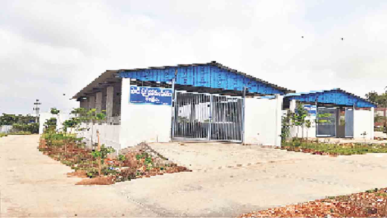 స్వచ్ఛతలో మేటి అయిజ