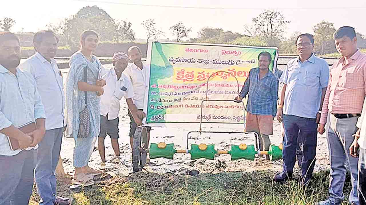 వెదసాగుతో అధిక లాభాలు