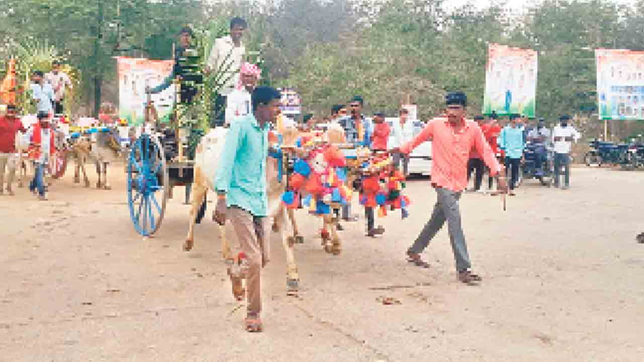 కనులపండువగా శకటోత్సవం