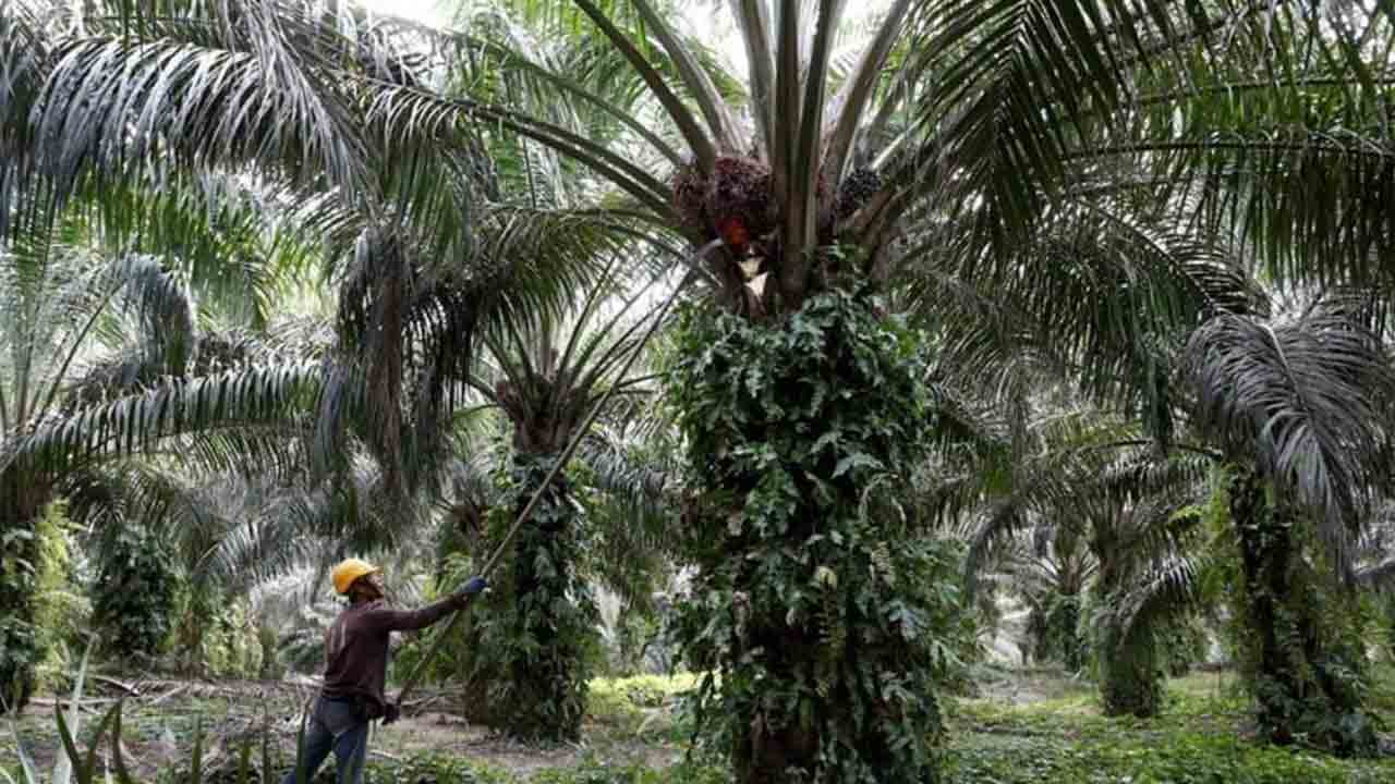 ఆయిల్‌ఫెడ్‌ నిర్వాకం