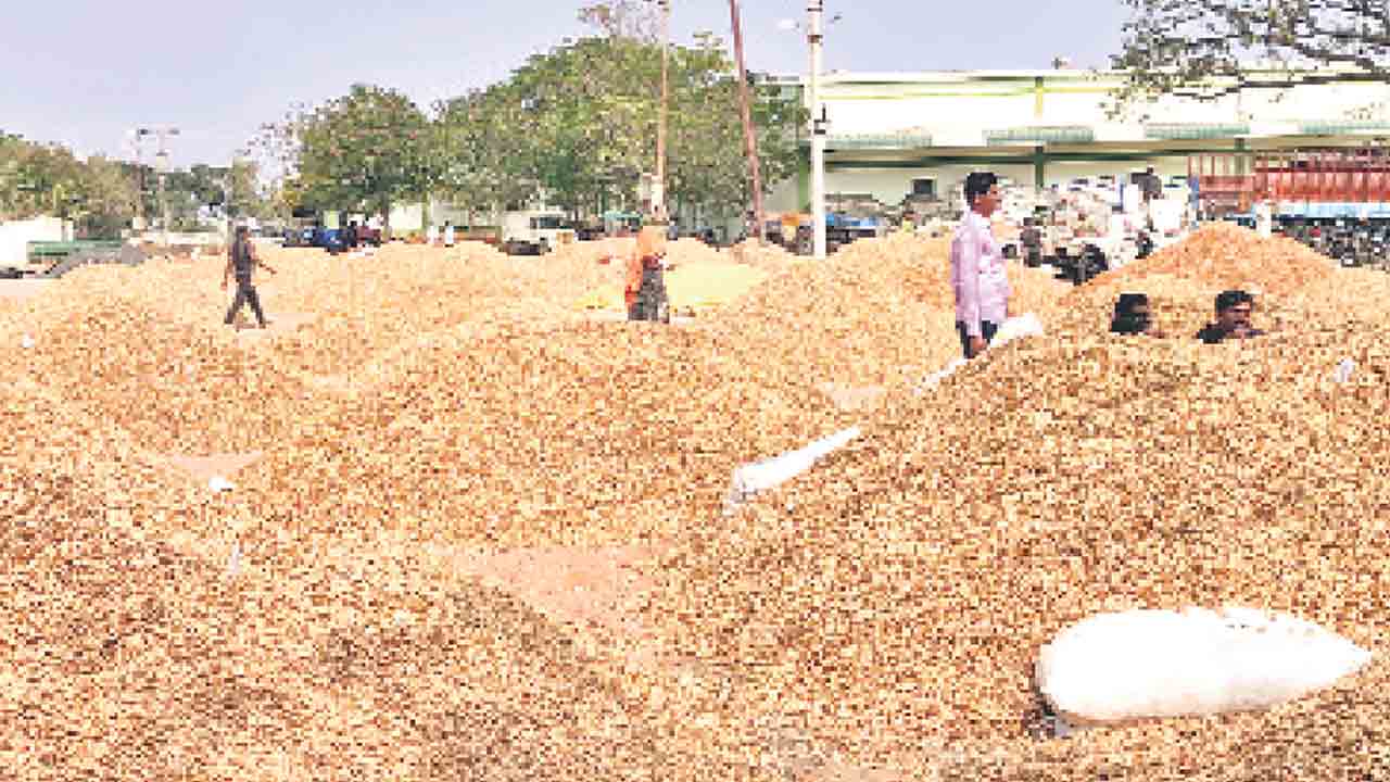 నిలువ నీడ లేదు..