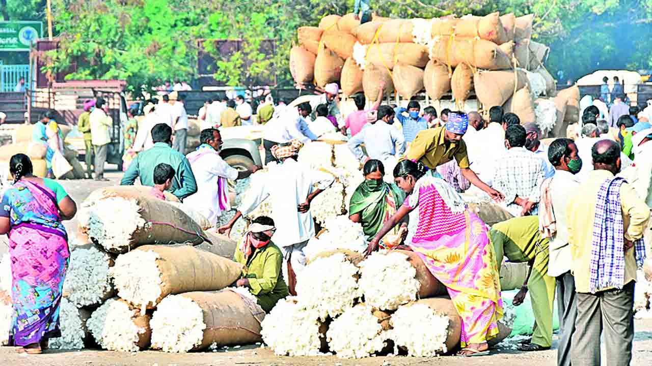 పత్తి రేటు డౌన్‌