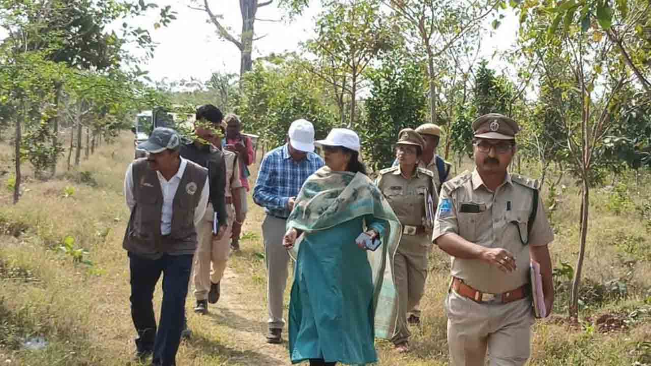 అడవుల సంరక్షణకు పటిష్ట చర్యలు