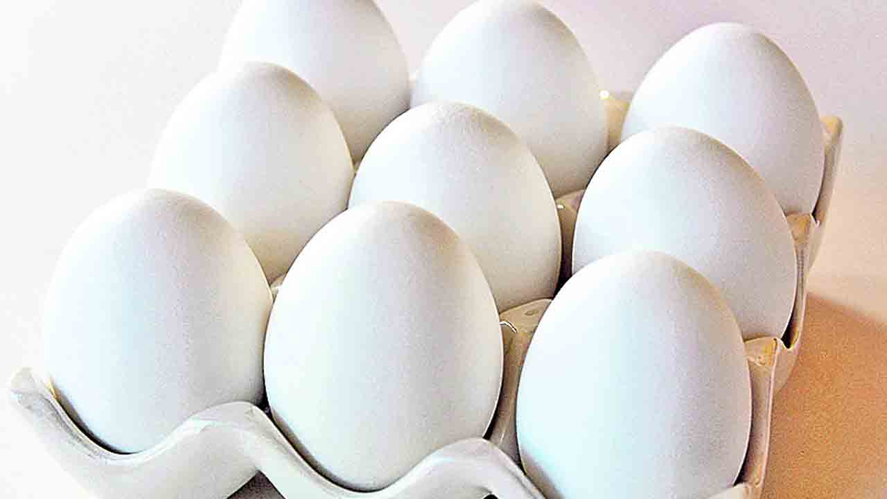 కోడిగుడ్డు మస్తు పిరం