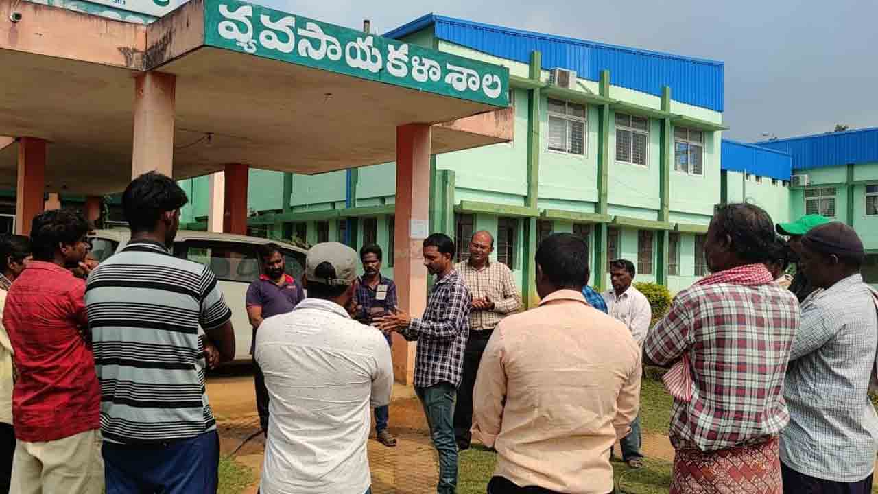 కొబ్బరి సాగుతో దీర్ఘకాలిక ఆదాయం