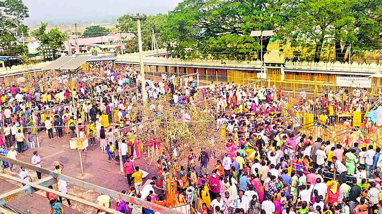 పోటెత్తిన మేడారం