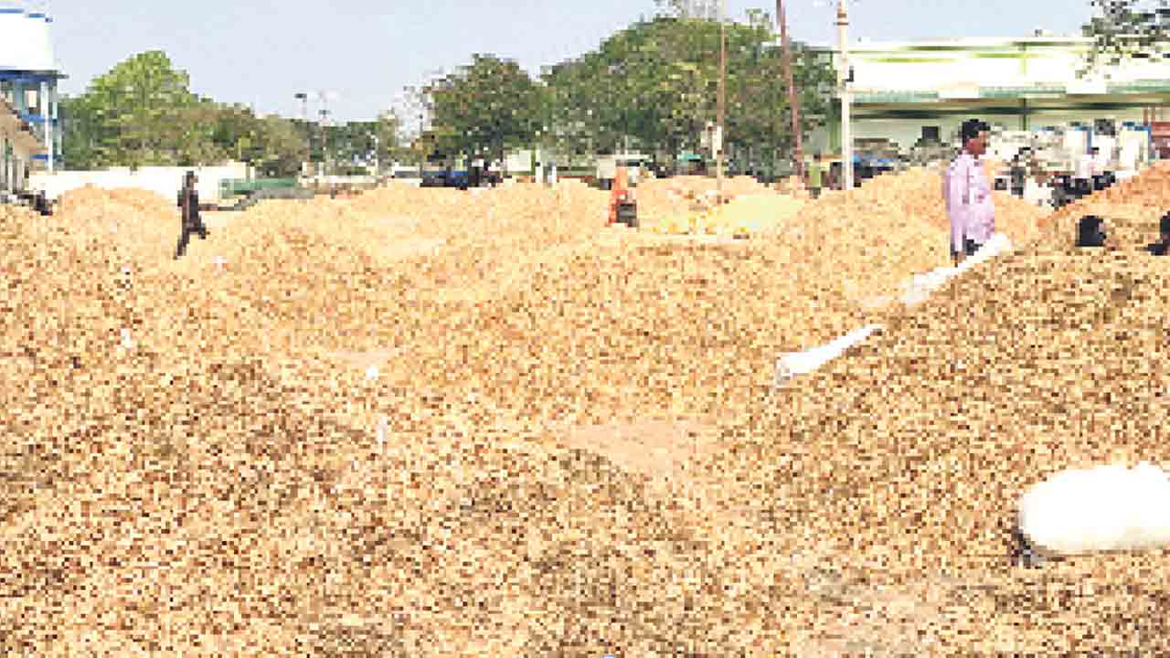 వేరుశనగ రైతన్నల కన్నీళ్లు