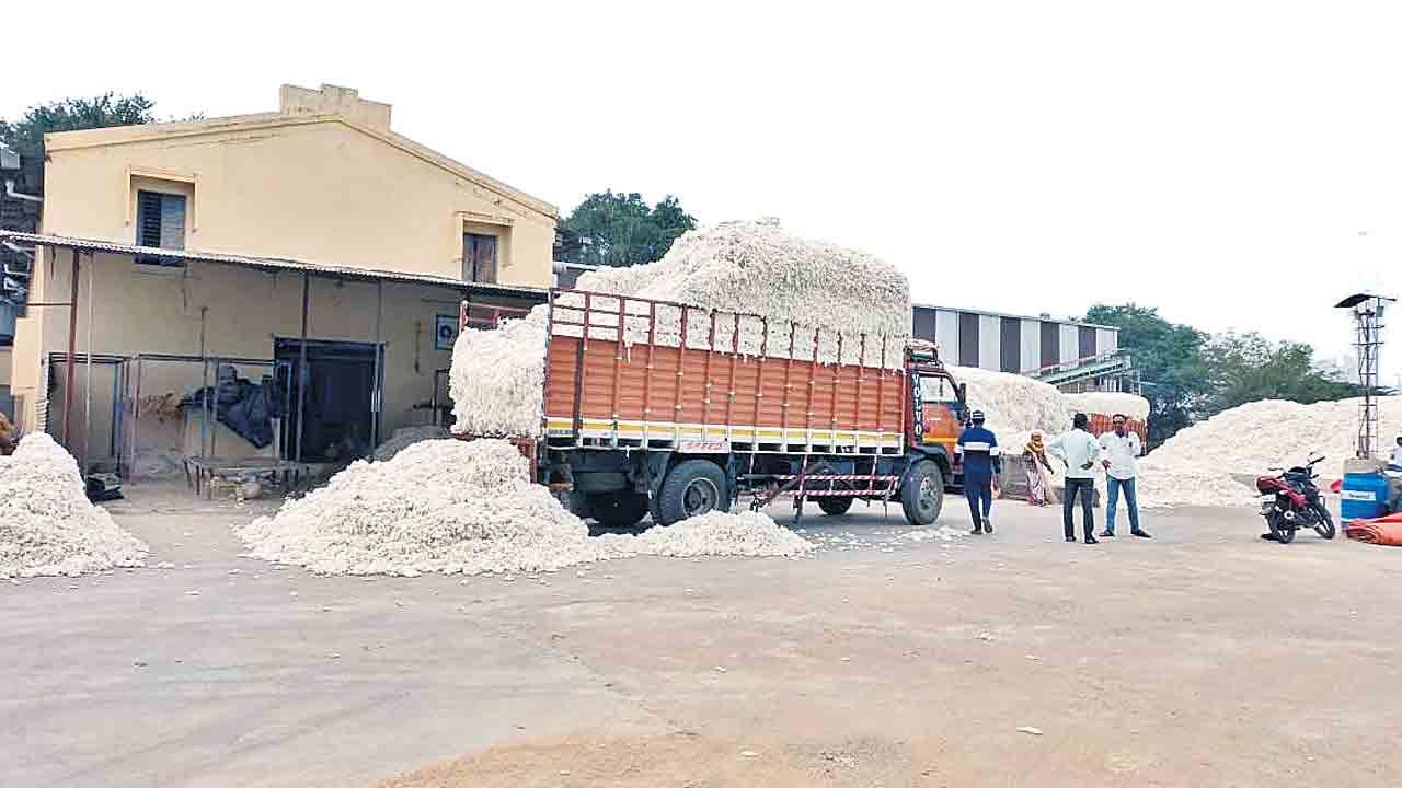 పత్తి రైతు విలవిల