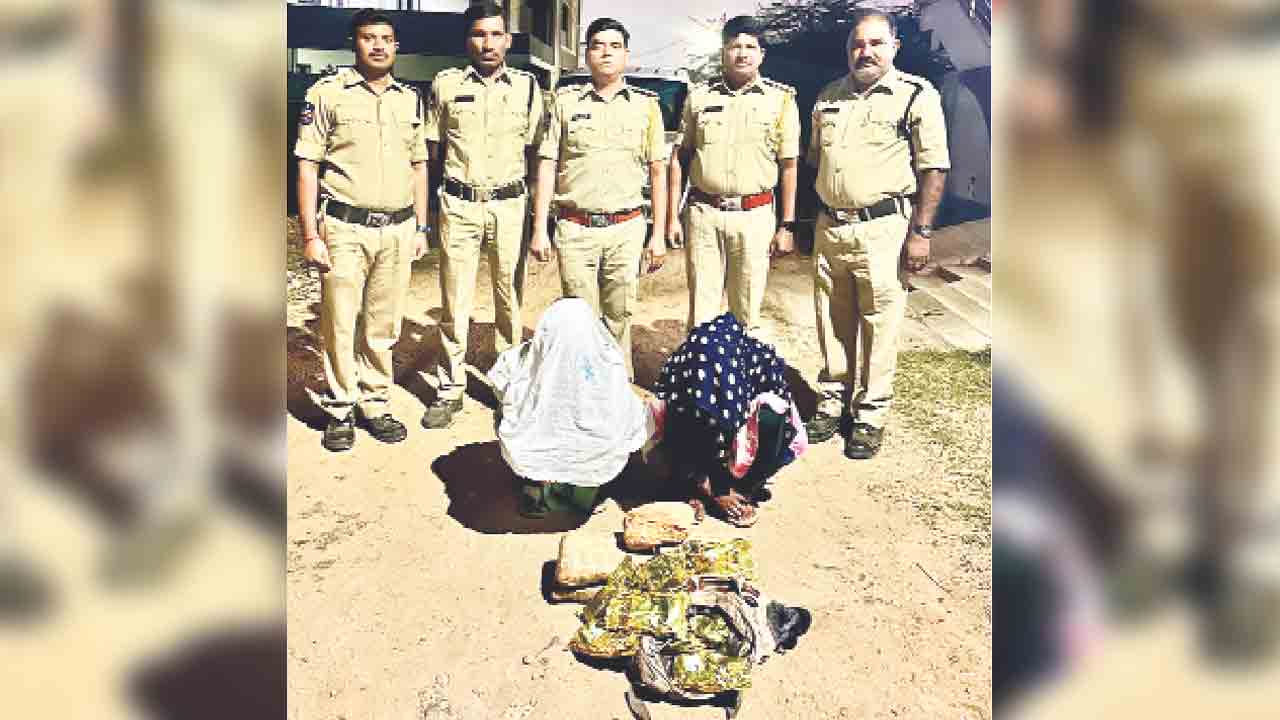 చాక్లెట్ల మాటున గంజాయి రవాణా