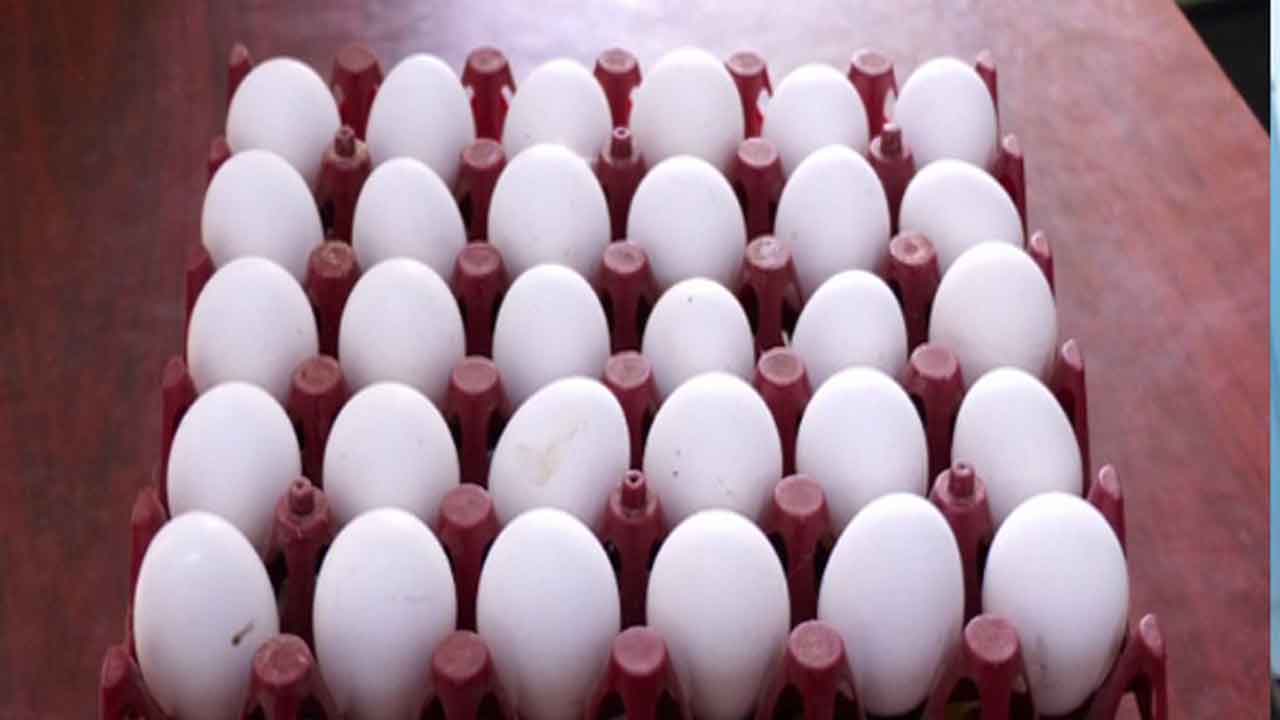 అంగన్‌వాడీ గుడ్ల విక్రేతపై కేసు నమోదు