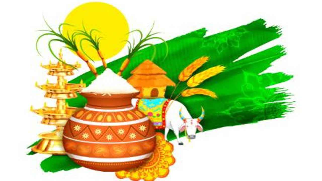 సంక్రాంతి ఆనందాల డోలి