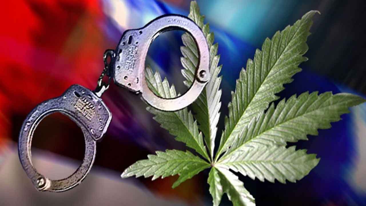 గంజాయి స్మగ్లింగ్‌ ముఠా అరెస్టు