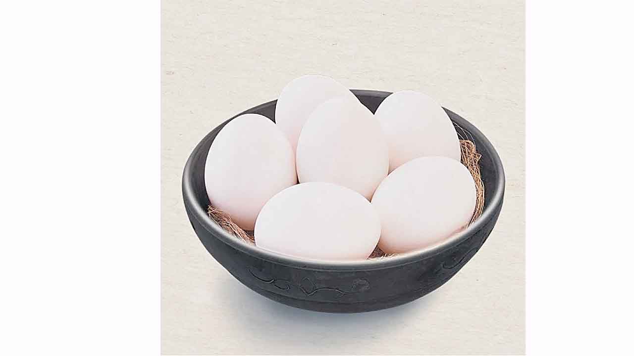 Egg Rate | చలితో తగ్గిన ఉత్పత్తి.. గణనీయంగా పెరిగిన వినియోగం.. కొండెక్కి కూర్చున్న కోడిగుడ్డు