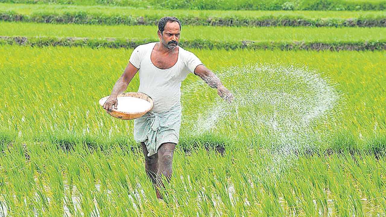 Urea | రాష్ట్రంలో యూరియా కొరతకు కారకులెవరు?.. సరిపడా నిల్వలున్నా సరఫరా చేయడంలో ప్రభుత్వం విఫలం!