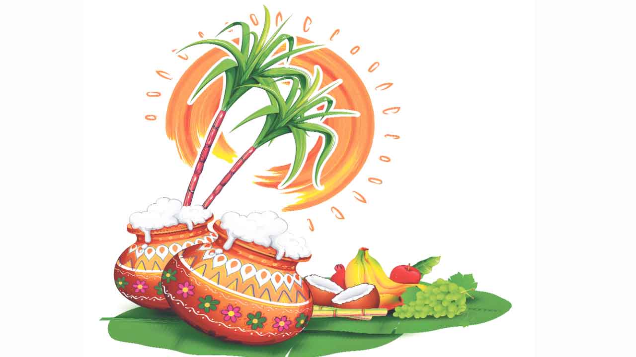 సంబురాల సంక్రాంతి