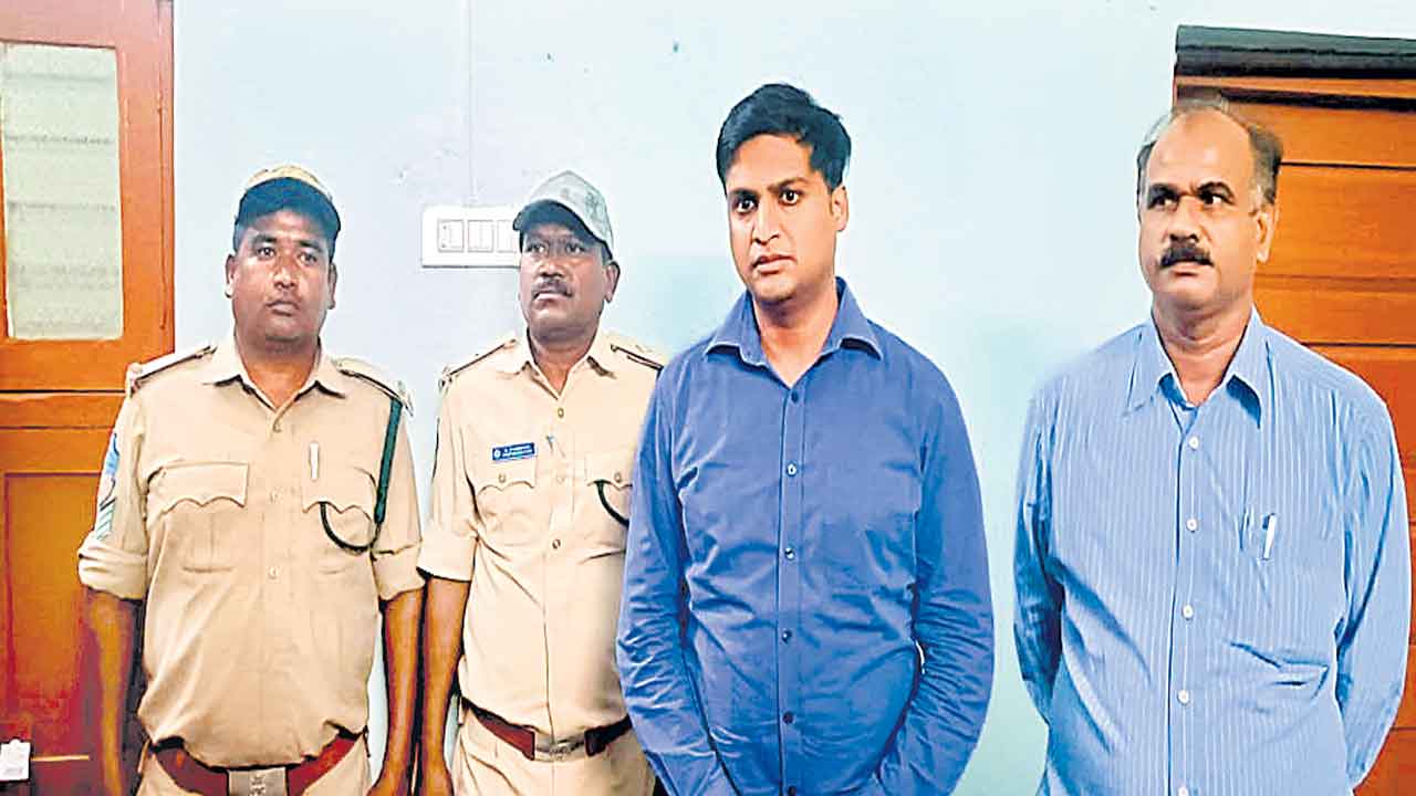 ఎద్దును చంపిందని పులి హతం