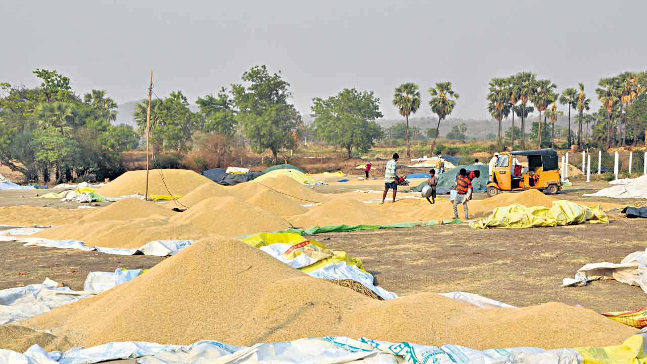 Paddy Procurement | భారీగా తగ్గిన ధాన్యం కొనుగోళ్లు.. రికార్డు స్థాయిలో వరిసాగైనా నామమాత్రంగానే సేకరణ