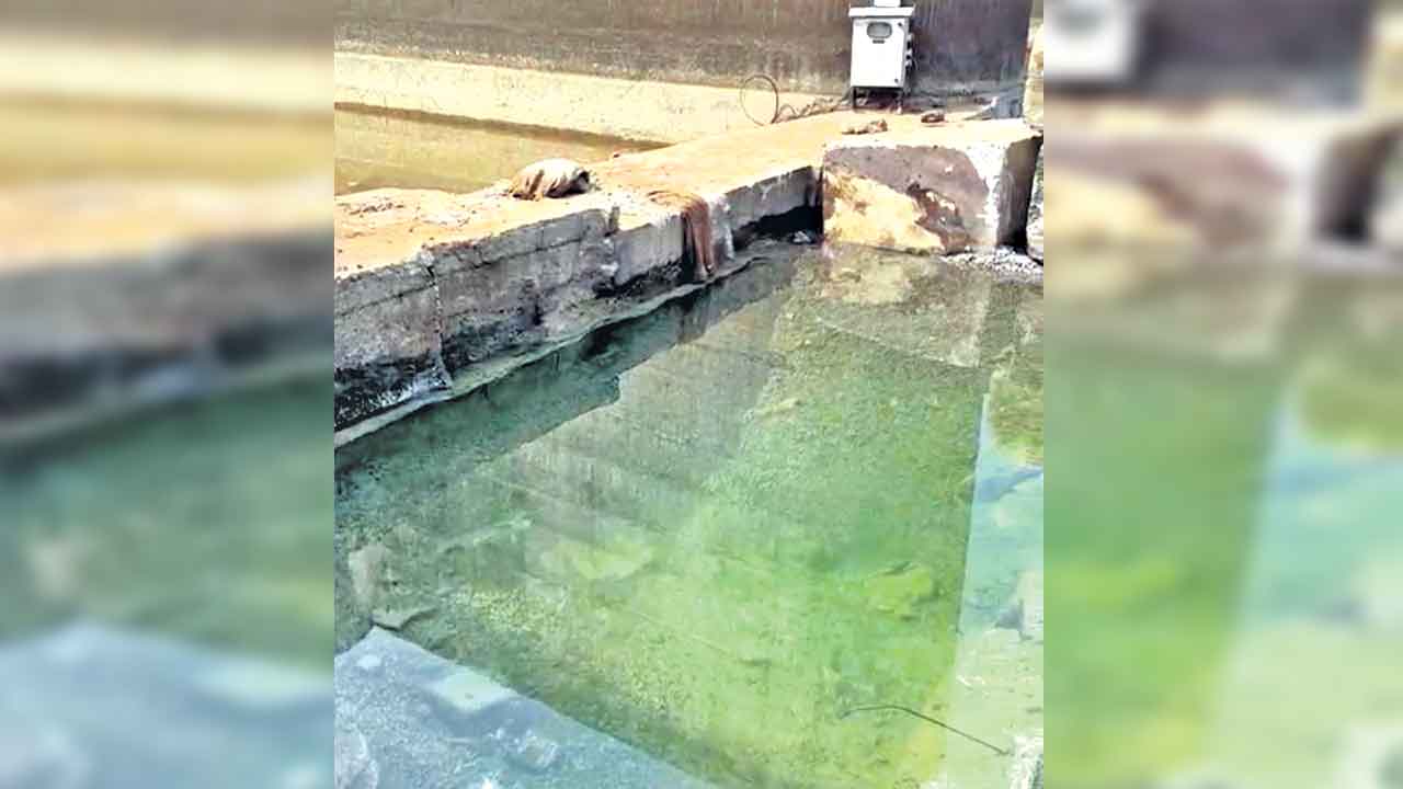 రేపటి నుంచి అన్నారంలో రెండో విడత గ్రౌటింగ్‌