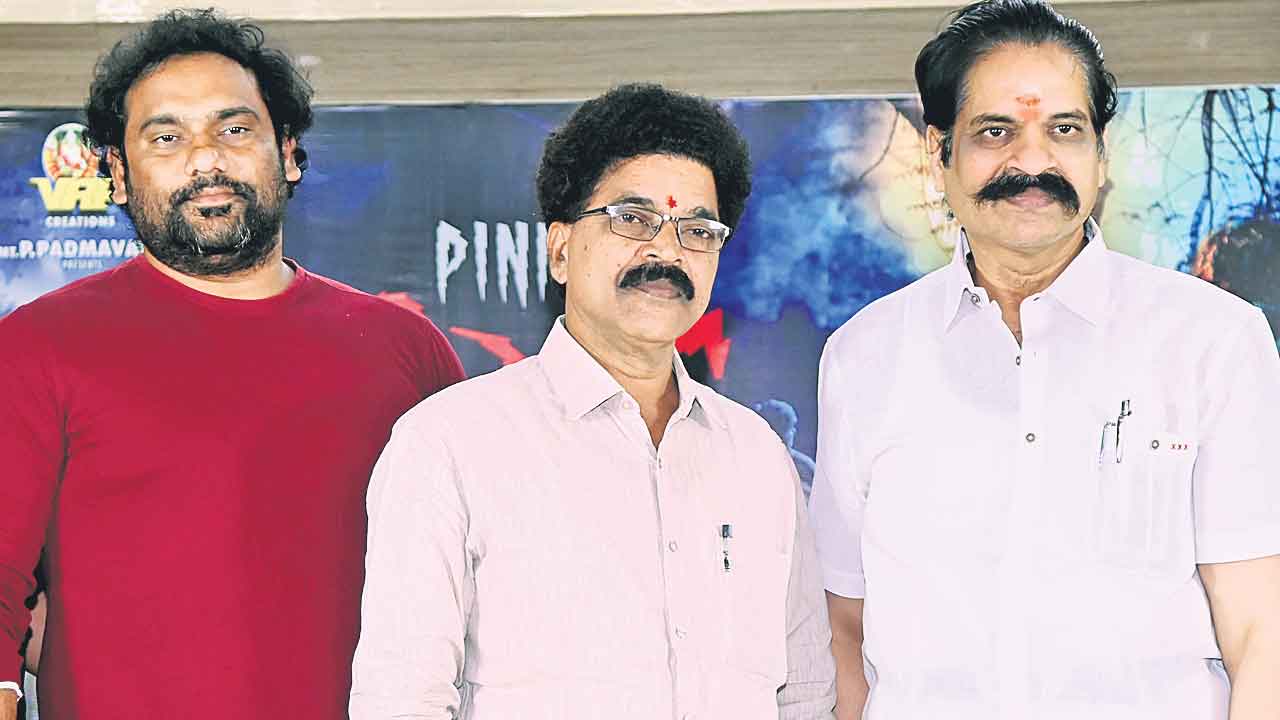 సస్పెన్స్‌ థ్రిల్లర్‌ ‘పింకీ’