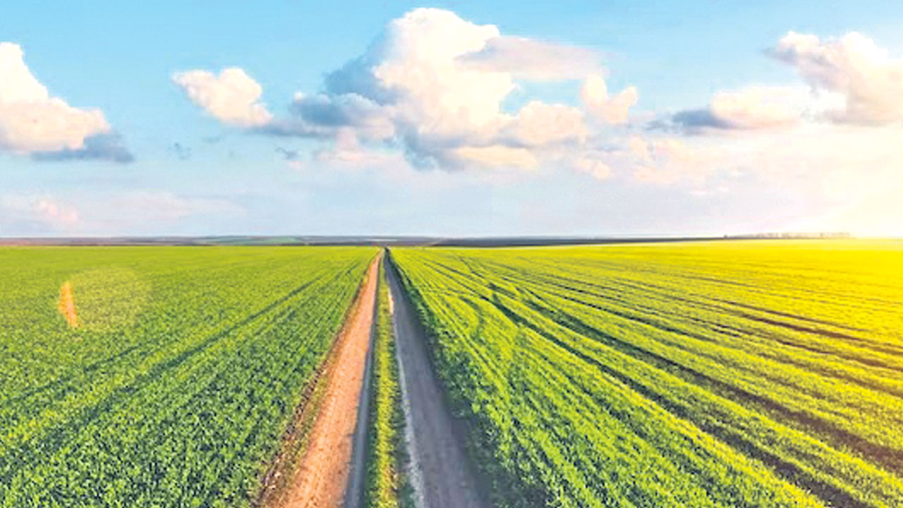 Vasthu Shastra | వ్యవసాయ క్షేత్రంలో రోడ్లు అవసరమా? ఉంటే ఎలా ఉండాలి?