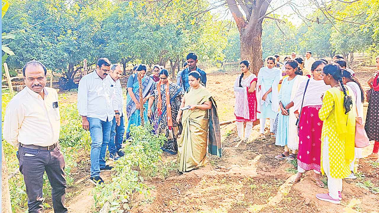 దశరథ క్షేత్రం.. తీరొక్క సేద్యం