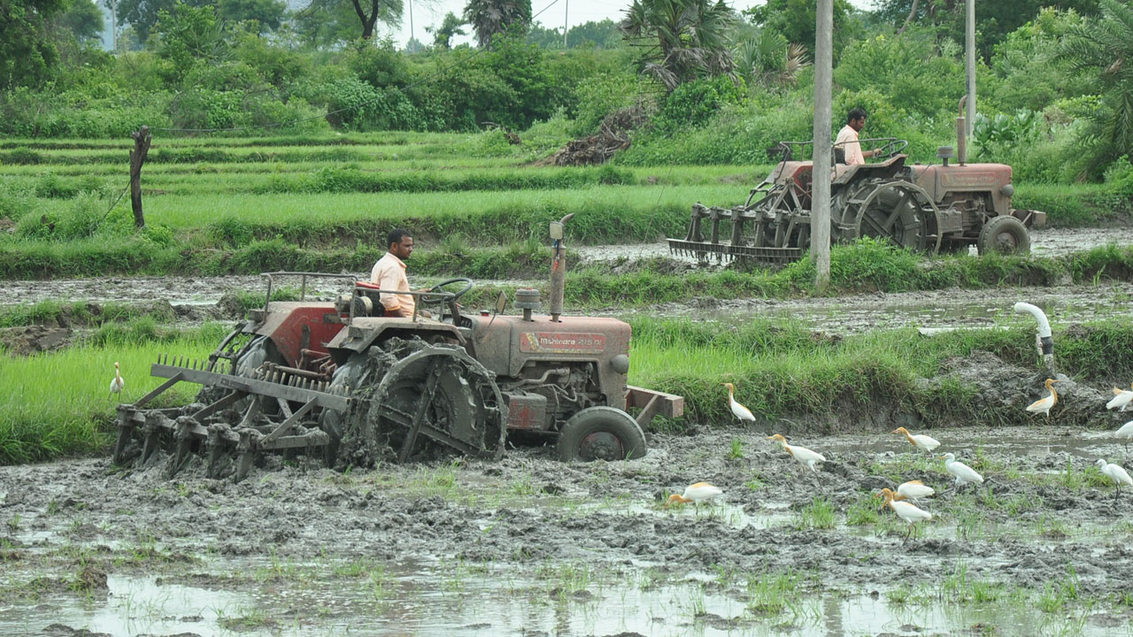 నెల రోజుల్లో 11.83 శాతమే