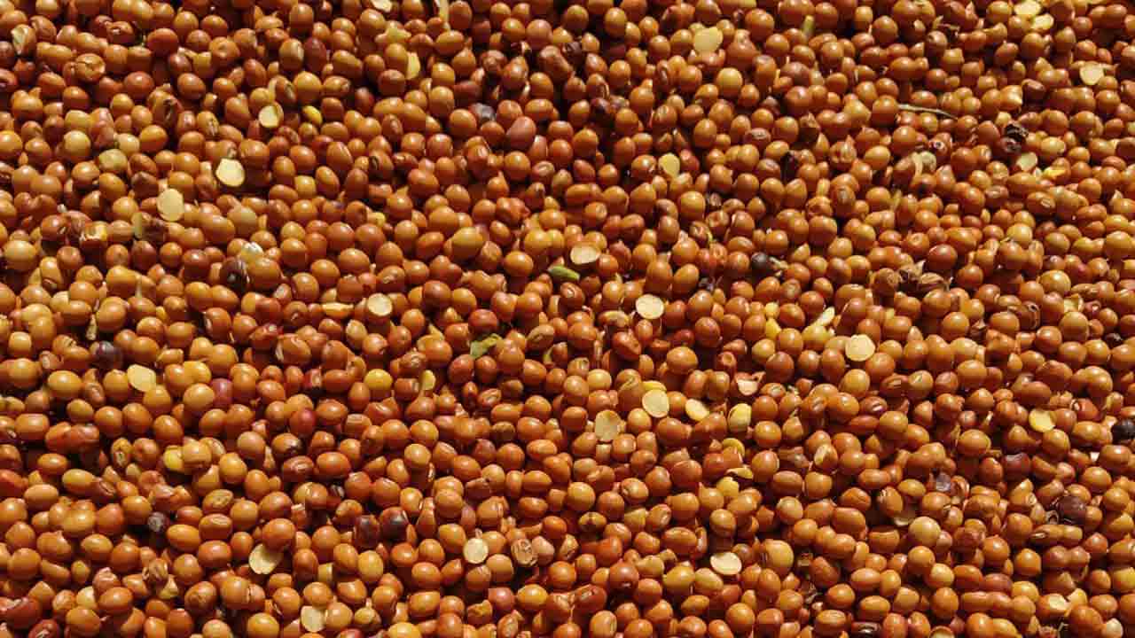 కందులు @ రూ.8,822