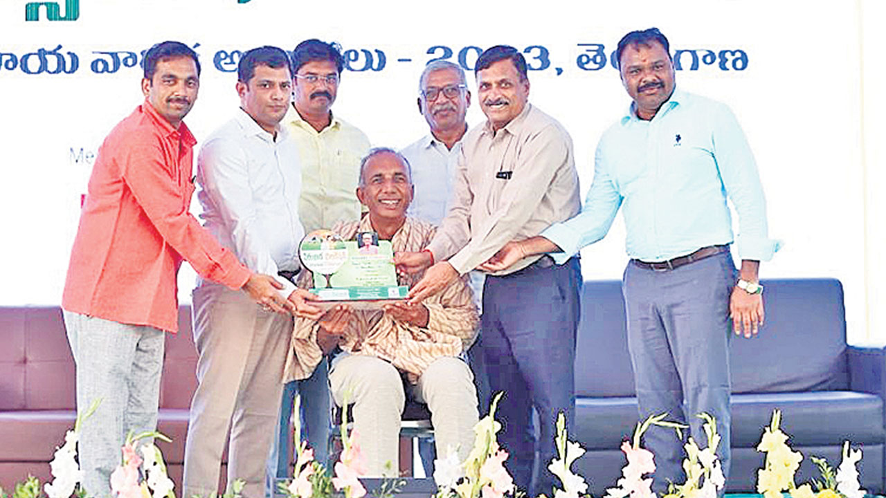 మిద్దె తోటలతో బహుళ ప్రయోజనాలు