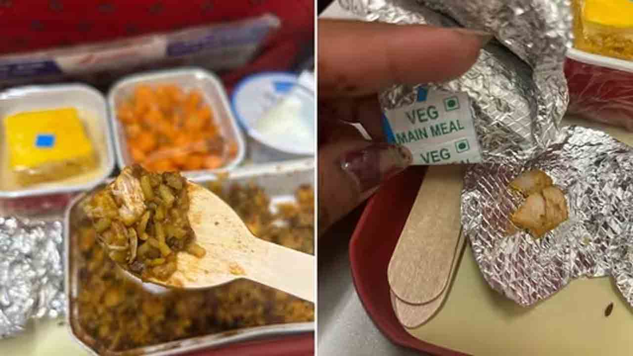 Air India | మరో వివాదంలో ఎయిర్‌ ఇండియా.. వెజ్‌ మీల్స్‌లో చికెన్‌ ముక్కలొచ్చాయంటూ మహిళ ట్వీట్‌