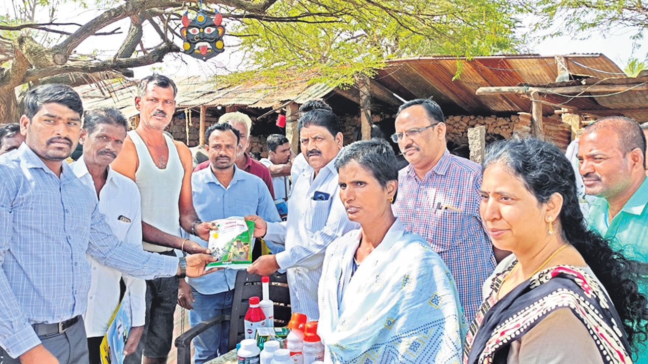మూగజీవాల సంరక్షణకు జాగ్రత్తలు పాటించాలి