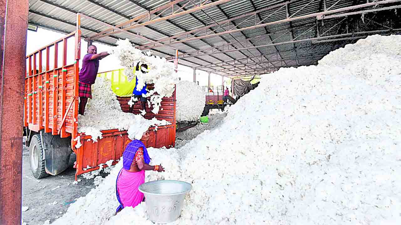 పత్తికి మద్దతుపై సీసీఐ మెలిక