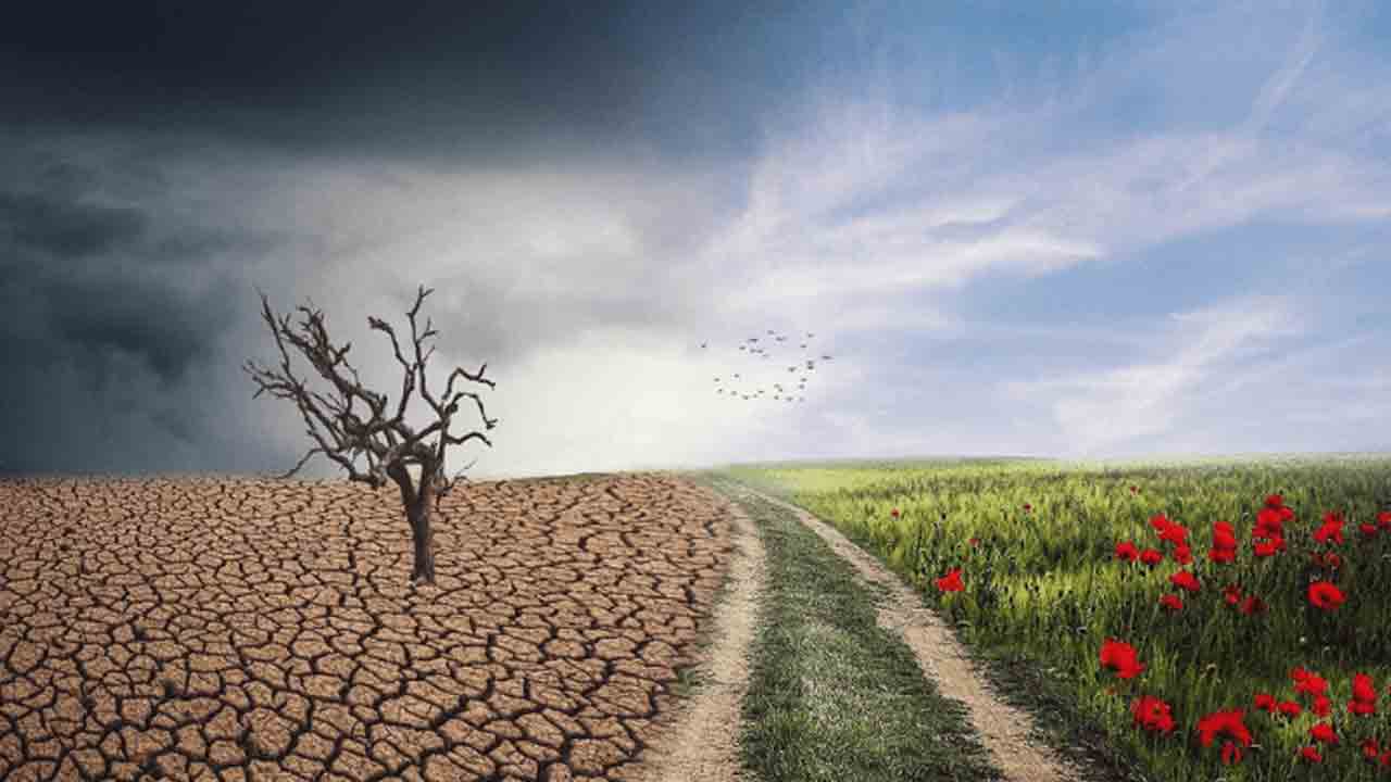 Climate change | పర్యావరణ మార్పులతో ఆయుష్షు క్షీణత.. తాజా అధ్యయనంలో వెల్లడి
