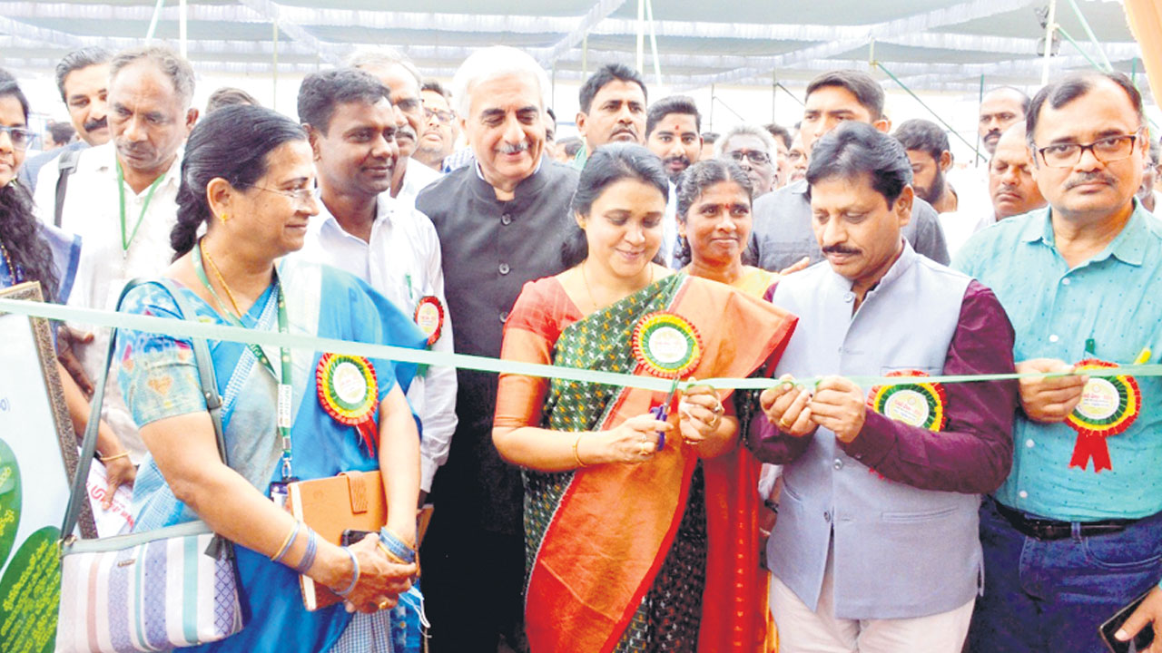 నువ్వులు పండించాలి